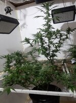 20260208_095830.jpg