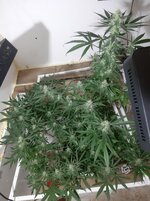 20260208_103016.jpg