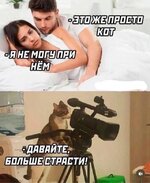 20653986.jpg