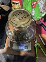 IMG_3029.jpeg