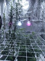 IMG_20260211_145446.jpg
