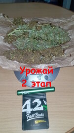 Харв 74-2.jpg