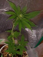 IMG_20260211_220804.jpg