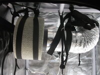 DSCF2758.JPG