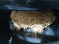 20260213_060043.jpg