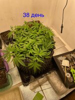 IMG_3048.jpeg