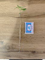 IMG_20260105_100715.jpg