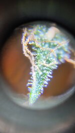 IMG_20250725_110913.jpg