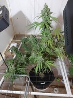 20260214_065713.jpg