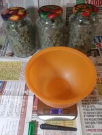 20260215_054506.jpg