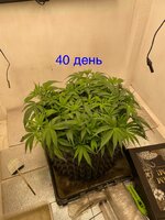 IMG_3058.jpeg