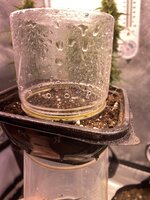 IMG_5291.jpeg