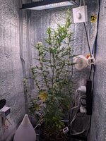 PXL_20260216_133039542.jpg