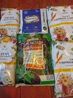 IMG_20260219_092210.jpg