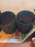 IMG_20260219_130440.jpg