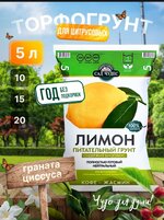 IMG_20260220_222630.jpg