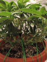 1000003739.jpg