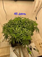 IMG_3128.jpeg