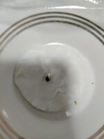 1000027144.jpg