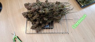 Polish_20260223_140359470.jpg