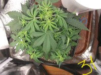 DSCF2803.JPG