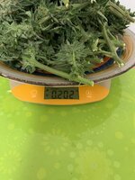 IMG_0117.jpeg