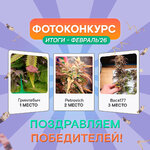 february-winners.jpg