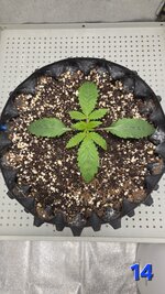 20260221_213722.jpg