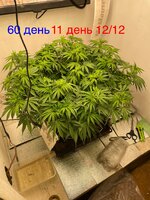 IMG_3355.jpeg