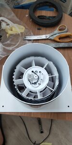 P50803-144531.jpg