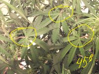 DSCF2861.JPG