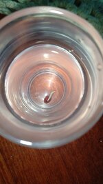 IMG_20260310_110343_014.jpg