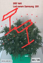 20260309_132735.jpg