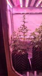 IMG_0876.jpeg