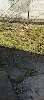 IMG_20260311_141558_710.jpg