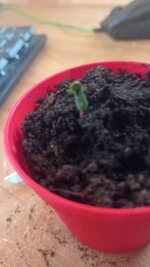 photo_2026-03-17_16-23-40.jpg