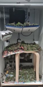 IMG_1089.jpeg