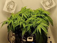 IMG_1105.jpeg