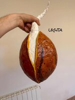 IMG_0437.jpeg
