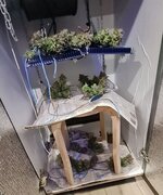 IMG_1213.jpeg