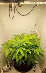 IMG_1259.jpeg