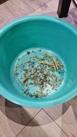 IMG_1274.jpeg
