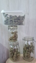 IMG_1275.jpeg
