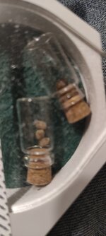 IMG_20260318_192619.jpg