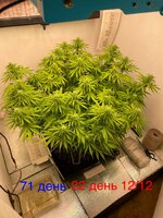 IMG_3511.jpeg