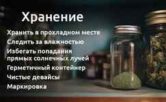 kak-hranit-sobrannyj-kif__WSuivpcNa11KhwzX.jpg kak-hranit-sobrannyj-kif__WSuivpcNa11KhwzX.jpg