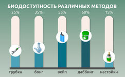 Chto-takoe-biodostupnost__uOjTaG7UmsyV7qz5.jpg Chto-takoe-biodostupnost__uOjTaG7UmsyV7qz5.jpg