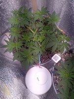 20260325_065829378.jpg