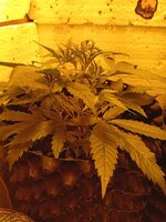 IMG_20260325_092854.jpg
