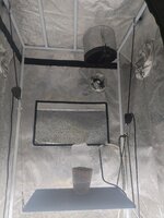 IMG_20260326_003044.jpg